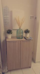 a table with two potted plants on top of it at Maison en bord de mer in Le Barcarès