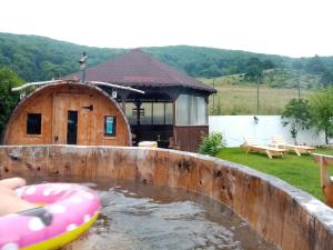 a pool of water in front of a wooden house at Poiana Cristian in Poiana Brasov