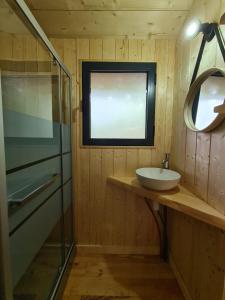 La salle de bains est pourvue d'un lavabo, d'un miroir et d'une douche. dans l'établissement Camping Aux Couleurs du ferret, à Lège-Cap-Ferret