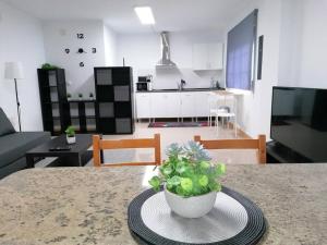 a kitchen and living room with a table with a plant at Lar de Yago - Apto in Ribadeo