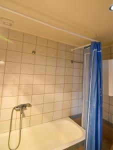 a shower with a blue shower curtain in a bathroom at Agia Marina apartment in Aghia Marina