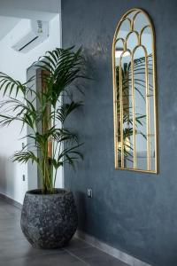 Fotografie z fotogalerie ubytování SunDaLucky v destinaci Afantou