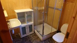 y baño con ducha, aseo y lavamanos. en Eidsdal Camping og Feriehus, en Eidsdal