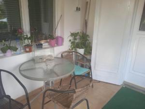 a glass table and chairs in a room with plants at Liget Szálláshely in Nyírbogdány