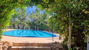 Piscina di ITALIAN GUEST o nelle vicinanze