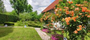 a garden with flowers and a house at Guest House Kolić in Drežnik Grad