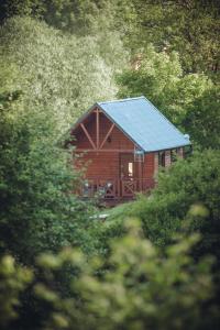 a wooden cabin with a blue roof in the woods at Szalejówka Domki in Kłodzko