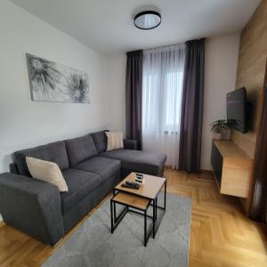 ein Wohnzimmer mit einer Couch und einem Couchtisch in der Unterkunft PIK Apartmani in Vrnjačka Banja