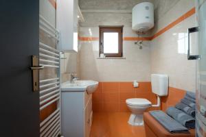 een kleine badkamer met toilet en wastafel bij Apartman Ela Vi in Kršan +10 foto's