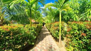 Giardino di ITALIAN GUEST