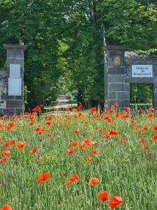 a field of red poppies in front of a cemetery at Château de Bourrassol in Ménétrol