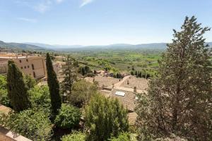 uma vista para uma aldeia com árvores e edifícios em La belle époque di Assisi 1 em Assis
