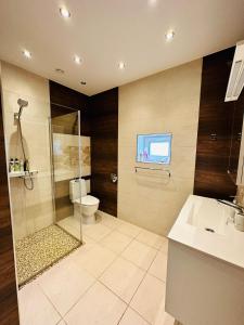 a bathroom with a shower and a toilet and a television at Svetes house - Garden & BBQ & Parking in Liepāja