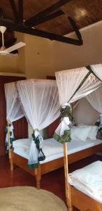 a bedroom with two bunk beds with curtains at Rudi House in Msaranga