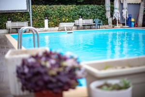 Bazén v ubytování Hotel Oaz nebo v jeho okolí