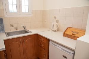 a small kitchen with a sink and a counter at Kapetanios Apartments in Agios Stefanos