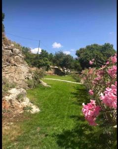 a field of grass with pink flowers and a path at Stramousse in Cabris