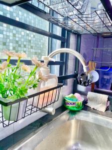 a kitchen sink with a dish rack with cleaning products and a plant at AISY HOMESTAY - Rumah 2,3 in Kampong Tanjong Karang