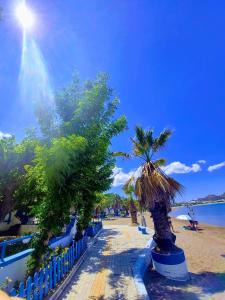 a beach with palm trees and a blue fence at SeaSide BayView in Faliraki