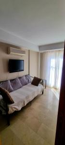 1 dormitorio con 1 cama y TV de pantalla plana en Hostal El Olivo, en Granada