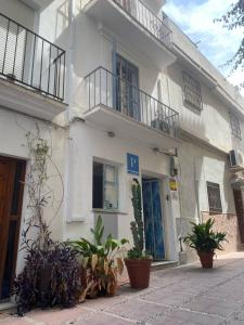 a white building with potted plants in front of it at Hostal The Monkey Room in Marbella