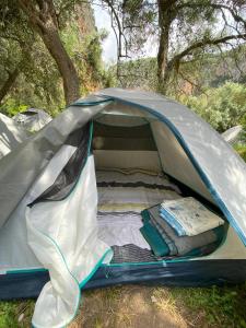 a gray tent with a bed in the grass at Gjipe Eco Campground in Vuno