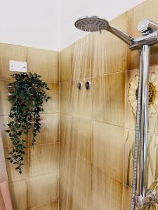 a shower with a shower head in a bathroom at B&B Stella Dei Venti in San Salvo