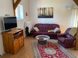 ein Wohnzimmer mit einem Sofa und einem Flachbild-TV in der Unterkunft Schönes Wohnen im Wendland in Dannenberg