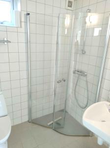 een badkamer met een douche, een toilet en een wastafel bij The House At The Mountain in Lemvig