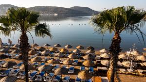 a bunch of chairs and umbrellas on a beach at Costa Bitezhan Hotel - All Inclusive in Bitez