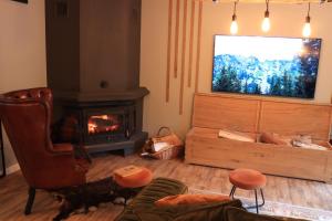 ein Wohnzimmer mit einem Kamin und einem TV in der Unterkunft Wild Hunts Lodge Retezat in Rausor