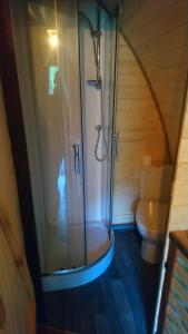 y baño con ducha y aseo. en Domek Wilcza Wola 2, en Górzanka