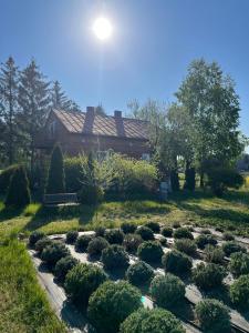 a garden with bushes in front of a house at Lawendowa Sonata in Nowe Miasto