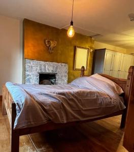 a bedroom with a bed and a fireplace at Nightingale Cottage in Llantwit Major