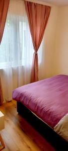 1 dormitorio con cama y ventana en Carmen apartman en Brčko