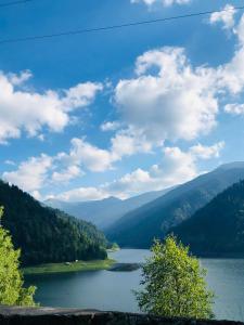 vistas a un lago en las montañas en Wild Hunts Lodge Retezat, en Raul Mare