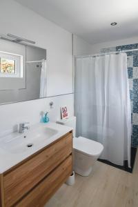 een badkamer met een wastafel, een toilet en een douche bij Mini Loft Tesa in Mácher