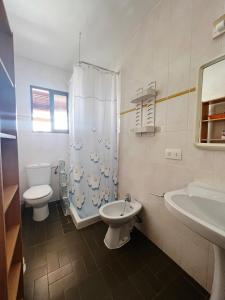 La salle de bains est pourvue de toilettes, d'un lavabo et d'une douche. dans l'établissement CASA VICENTE FUENTE, à San Ferran de Ses Roques