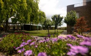 a garden with purple flowers and trees and a building at Kellys house in Epanomi