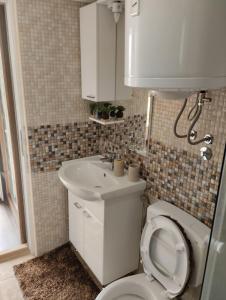 a bathroom with a toilet and a sink at WOODSTONE APARTMAN in Podgorica