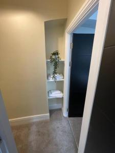 a hallway with a door and a shelf with a plant at The Mount in Swansea +15 photos