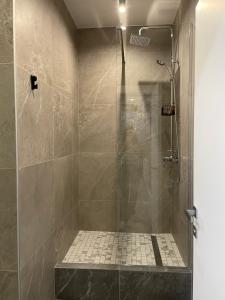 bagno con doccia e porta in vetro di 118 apartments a Kiev