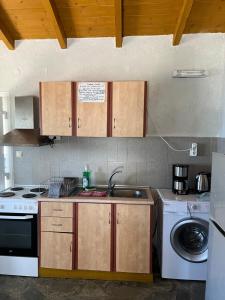 a kitchen with a sink and a washing machine at Hamre Apartments (Nicholas) in Agios Georgios Pagon