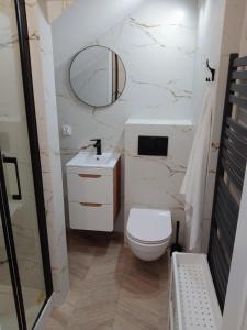 a bathroom with a white toilet and a mirror at Apartament Nowy Władek 1 in Władysławowo