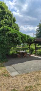 una mesa de picnic en un parque junto a un árbol en Bolschwitz 39, en Calau