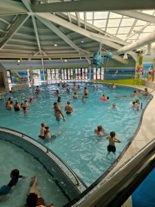 a large group of people in a swimming pool at The fleet retreat in Weymouth