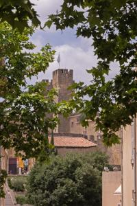 a castle with a flag on top of it at Le Nostradamus - Magnifique appartement cours principal plein centre avec parking in Salon-de-Provence