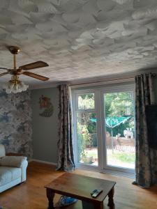 sala de estar con techo artesonado y ventana en Friendly Ventnor, en Ventnor