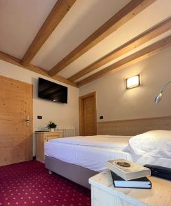 a bedroom with a large bed and a tv at Hotel Garni Minigolf in Ledro