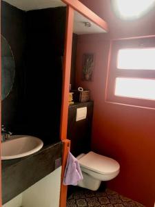 een badkamer met een toilet en een wastafel bij Grand studio indépendant in Paulhan